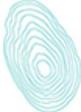 Ringer i treverk - ikon